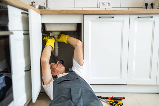 Best Shower Repair Services  in Mead, CO